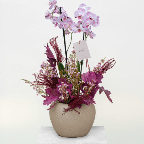 orchids, burgundy & bloom