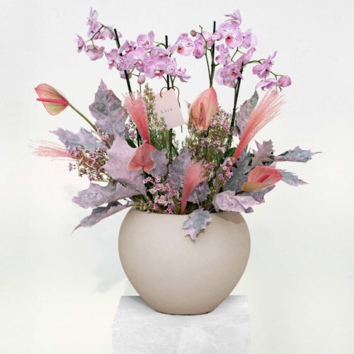 the orchid opulence