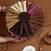 Colorful assortment of chocolate bird sticks arranged in a circle on a glass plate, showcasing various flavors and colors for dessert decoration.