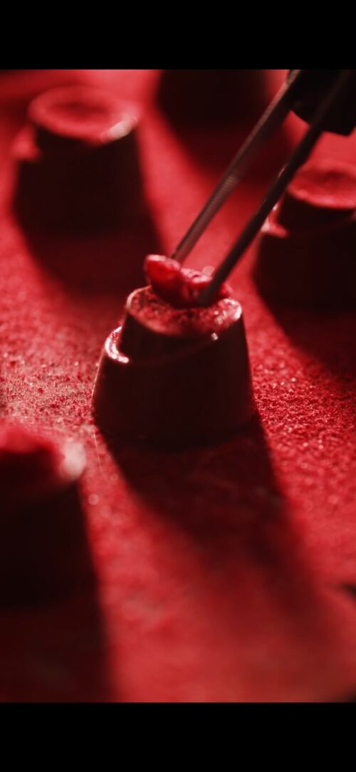 Alternative view of raspberry rose & pistachio